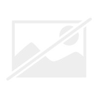 The bonfire vanities - bonfire,
